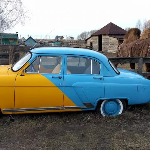 Ukrainian Car and a Camel