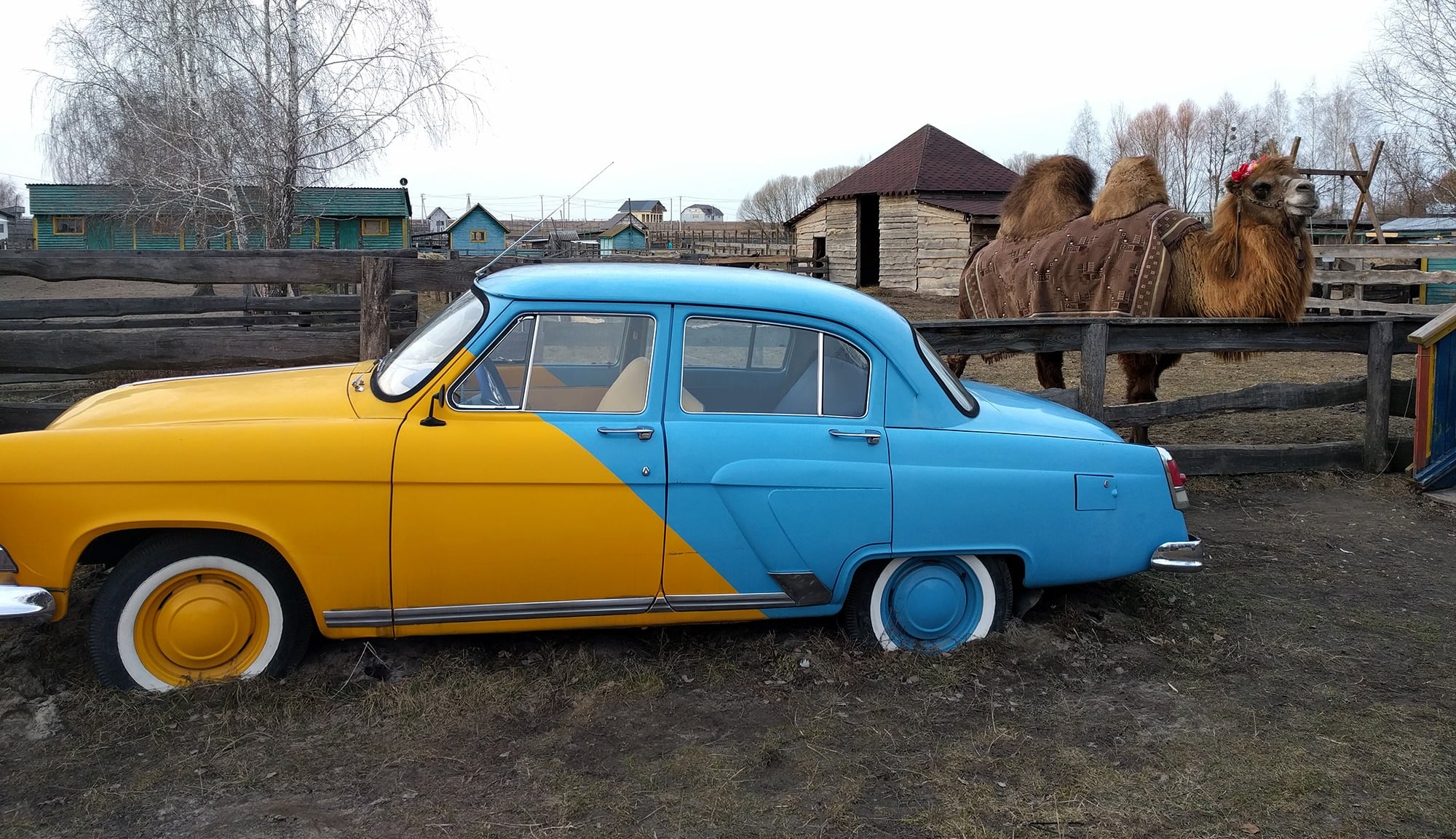 mit auto in die ukraine